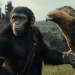 Kingdom of the Planet of the Apes Tayang di Bioskop Mulai Hari Ini